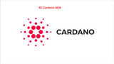 50 Cardano (ADA) CRYPTO MINING-CONTRACT (50 ADA) - Salevium Digital Market